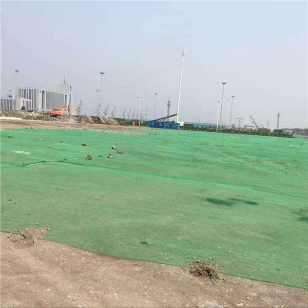 車輛拉土覆蓋網(wǎng) 建筑工程蓋土網(wǎng) 防風(fēng)抑塵網(wǎng)公路土地綠化防護網(wǎng)