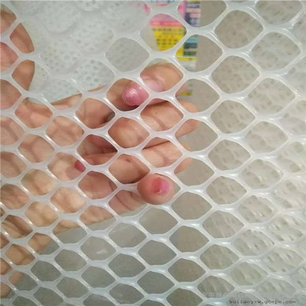 雞苗育雛塑料網(wǎng) 無毒安全養(yǎng)殖用平網(wǎng) pe墊底防護(hù)網(wǎng)格