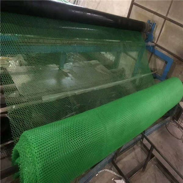 聚乙烯魚塘防護(hù)網(wǎng) 養(yǎng)蝦蟹水下塑料網(wǎng) 育雛網(wǎng)墊1.2孔0.8孔