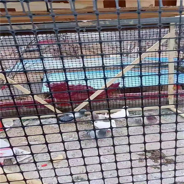 塑料材質(zhì)養(yǎng)殖用網(wǎng) 臨時防護網(wǎng)道路工程 聚乙烯修路雙向拉伸塑料網(wǎng)